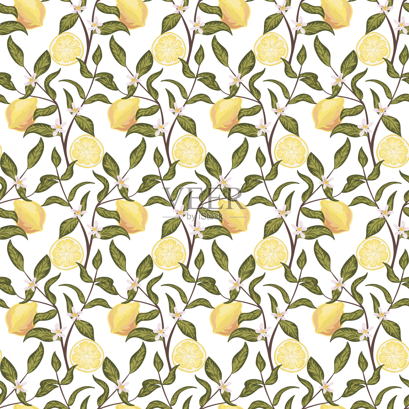 美丽的无缝图案与柠檬，鲜花和树枝。彩色手绘矢量插图。纹理印刷，织物，纺织品，墙纸。在白色背景,插画图片素材