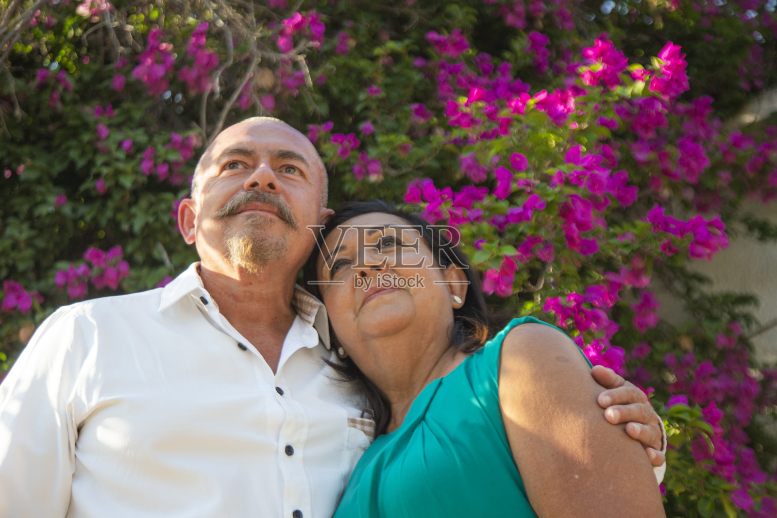 老夫妇在一棵布甘维利亚树下照片摄影图片