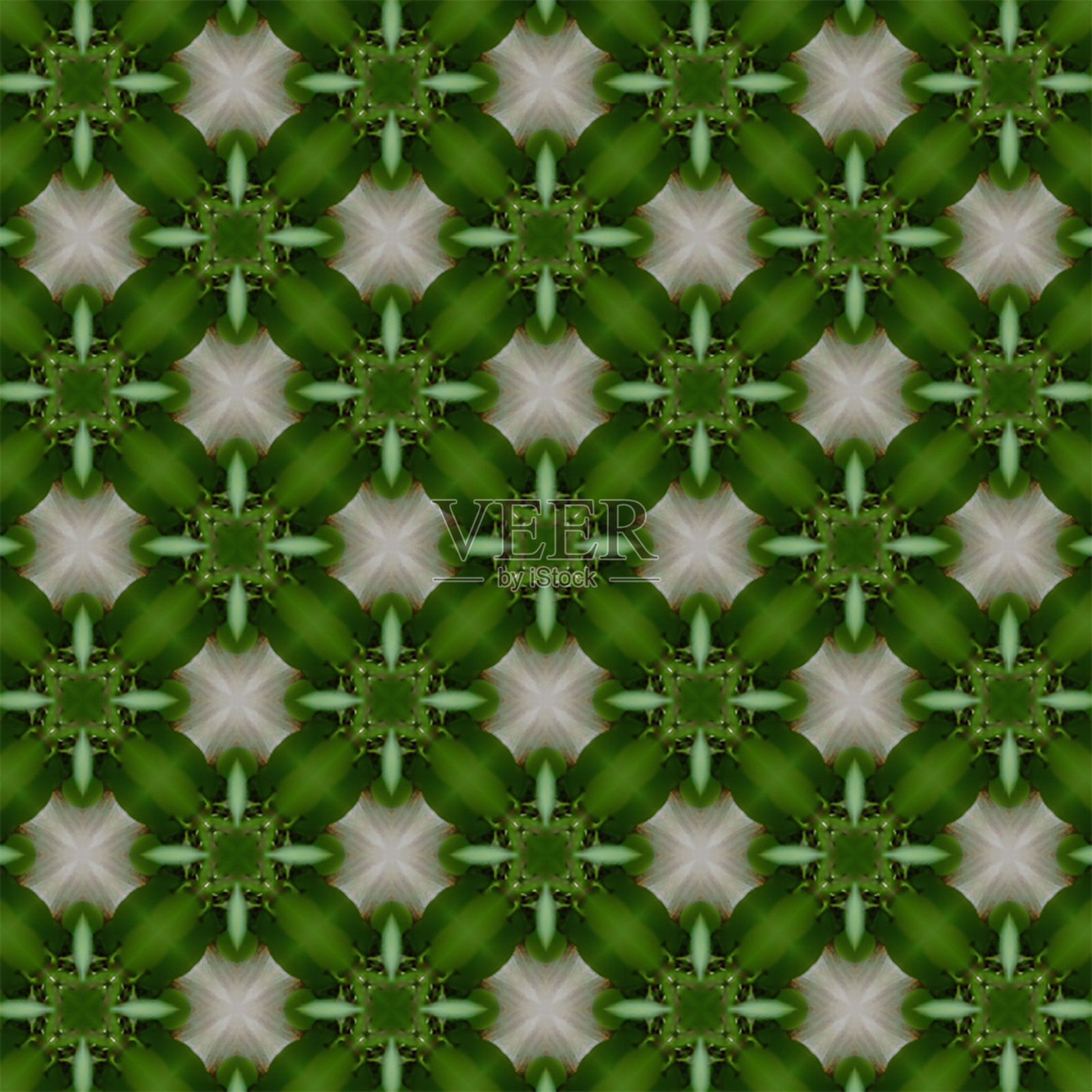 绿颜色的图案照片摄影图片