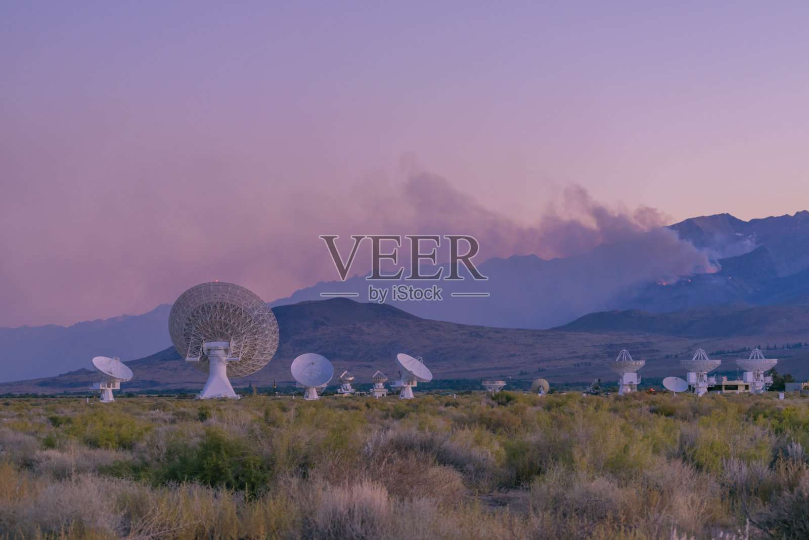 野火独立，大松树，欧文斯谷照片摄影图片