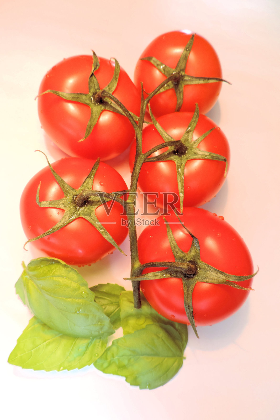 多汁的红色西红柿和水滴中的新鲜罗勒叶是一个精致的浅色背景照片摄影图片