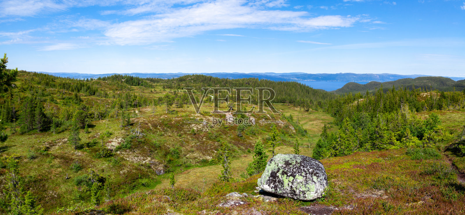挪威北部针叶林和山谷的广阔全景，在蓝色的夏日天空下，与海洋在地平线上。照片摄影图片