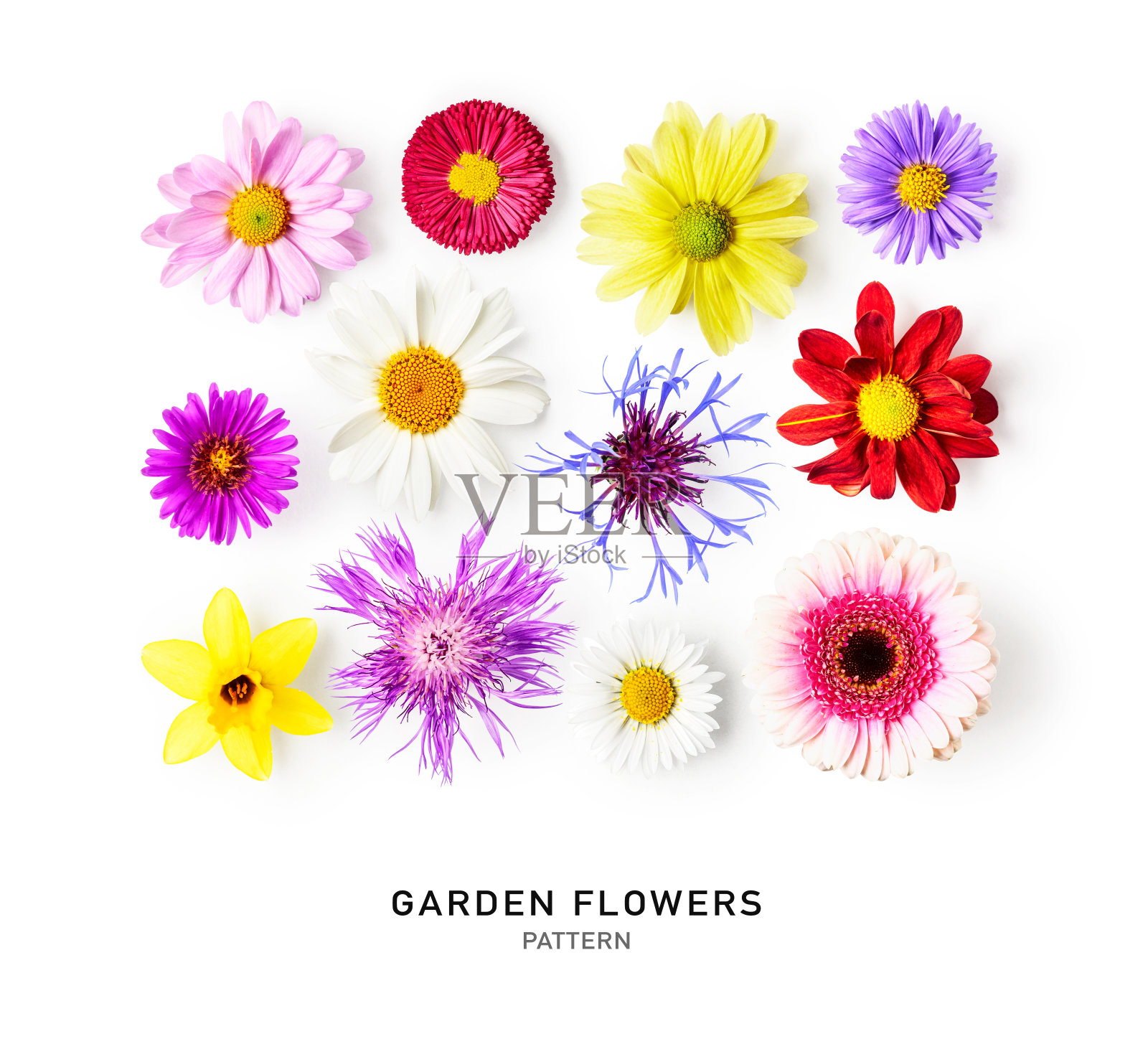 夏花创意图案照片摄影图片