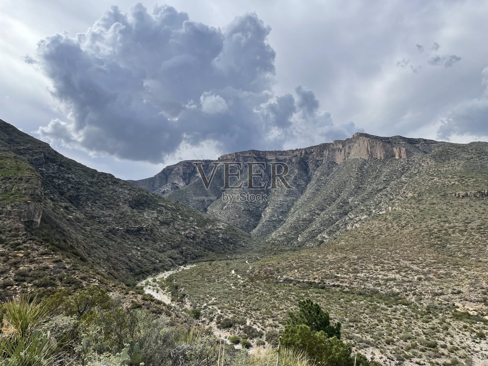 瓜达卢佩山脉国家公园照片摄影图片