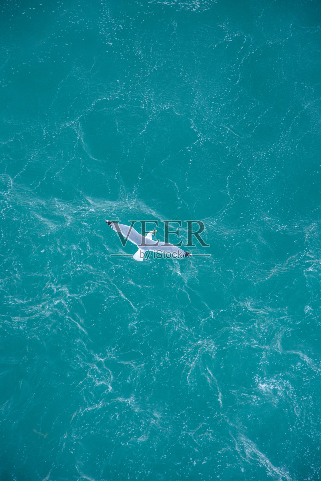 发现了马赛港和群岛的地区，法国照片摄影图片