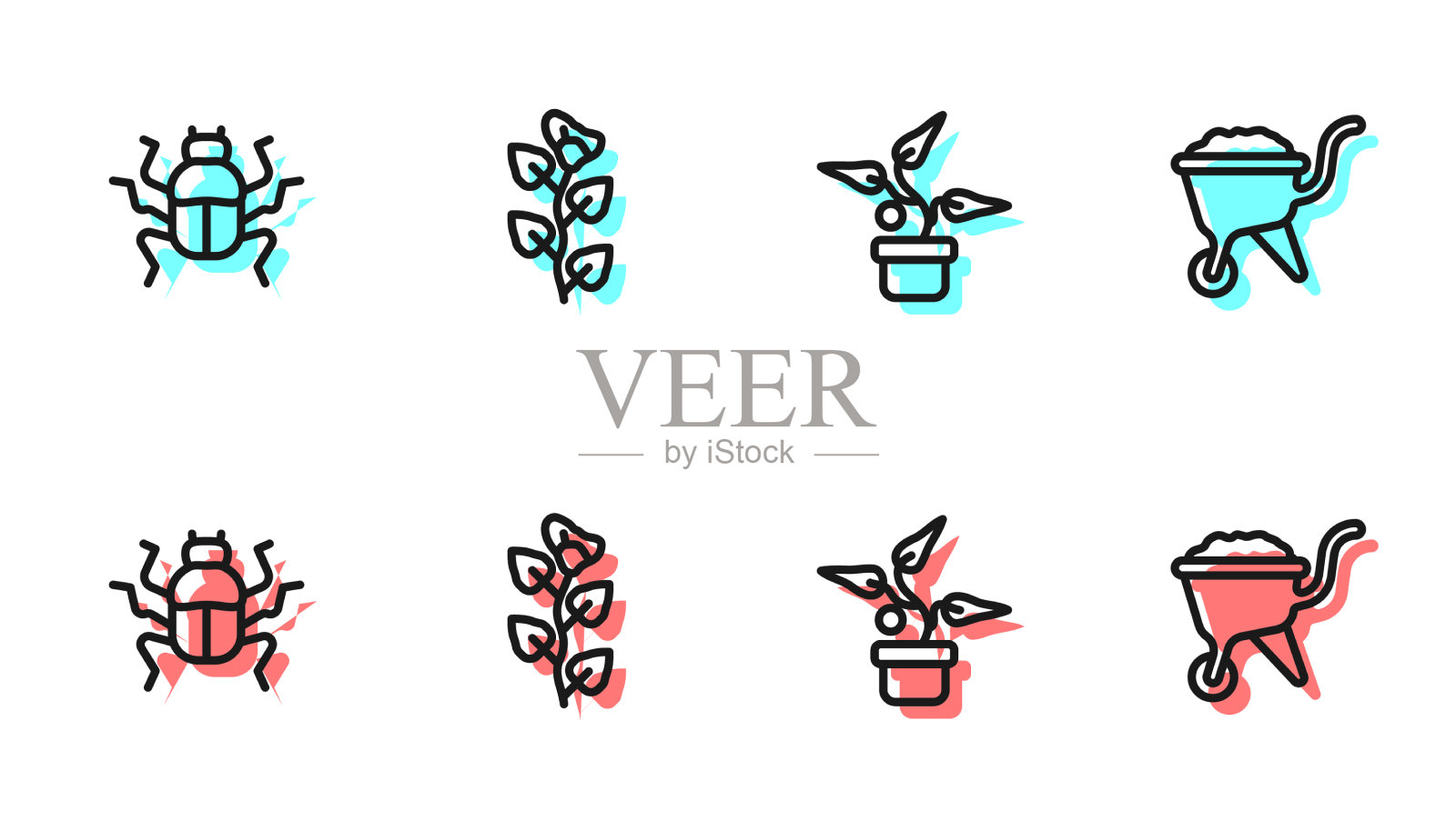 在盆甲虫、常青藤枝和插画图片素材