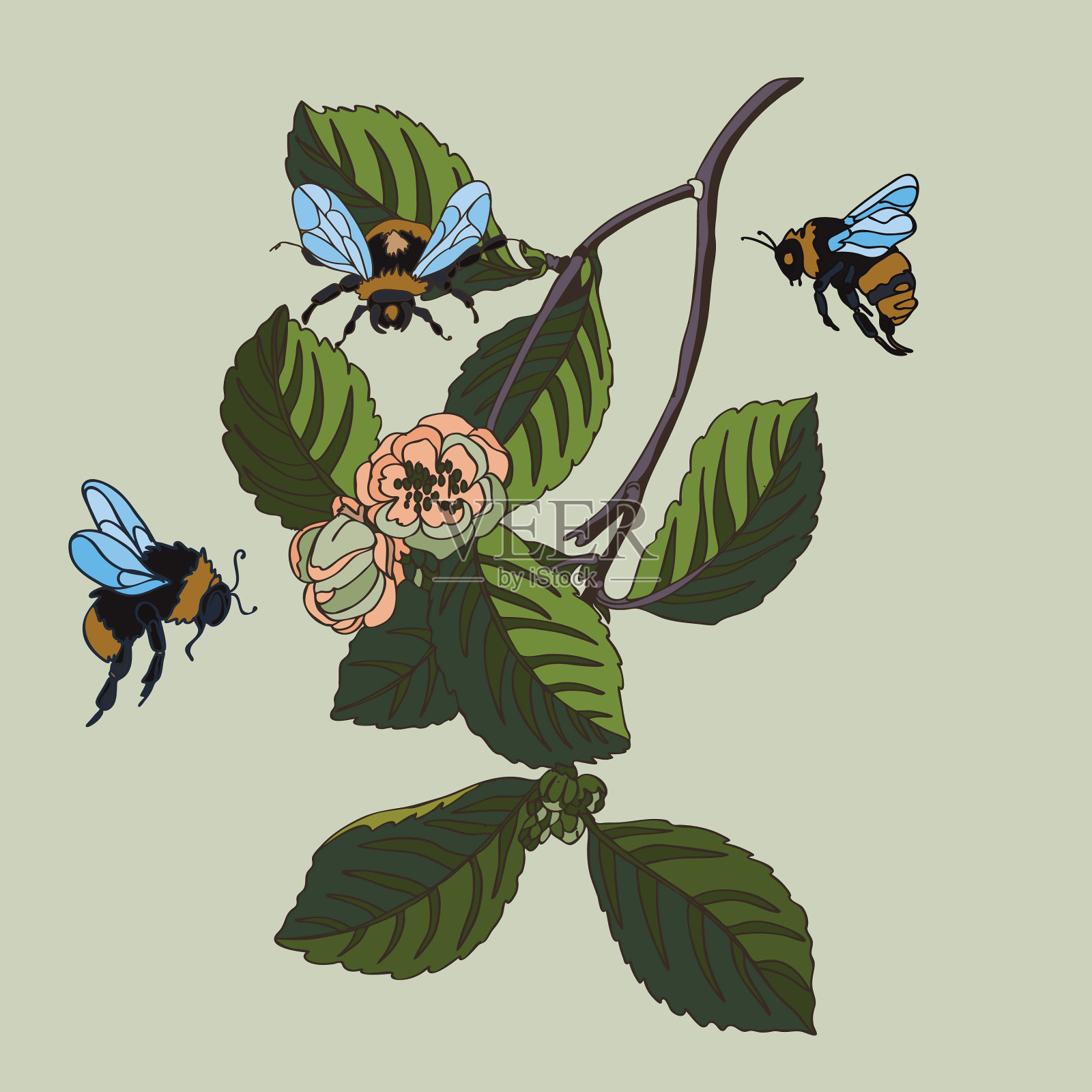 花16插画图片素材