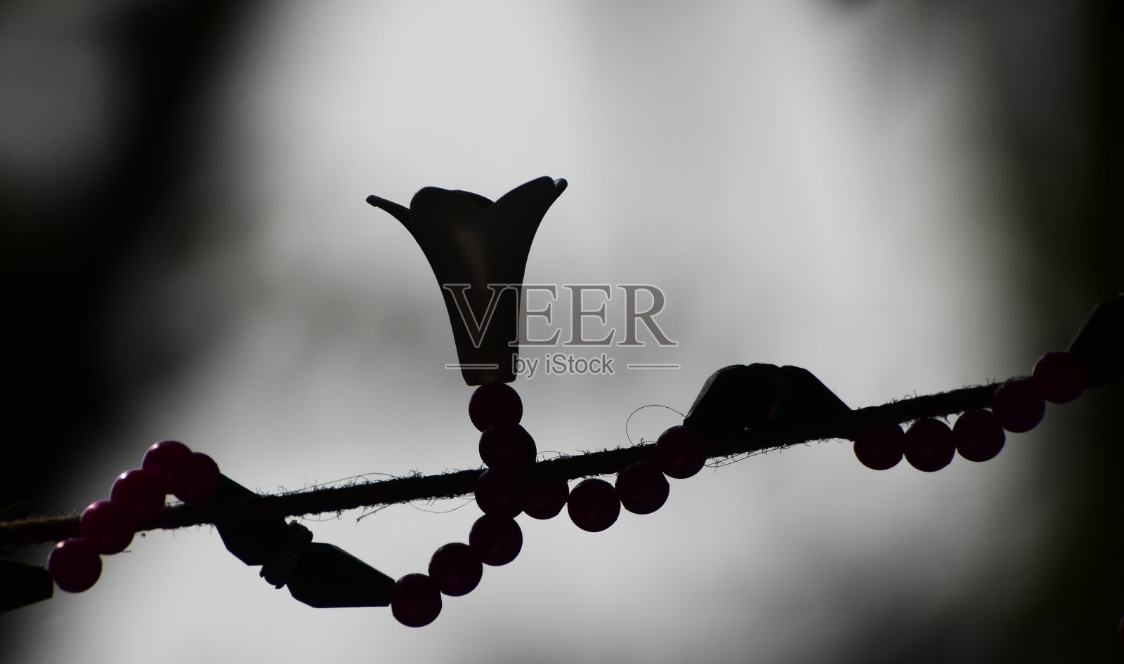 剪影暗人造花独特的照片照片摄影图片