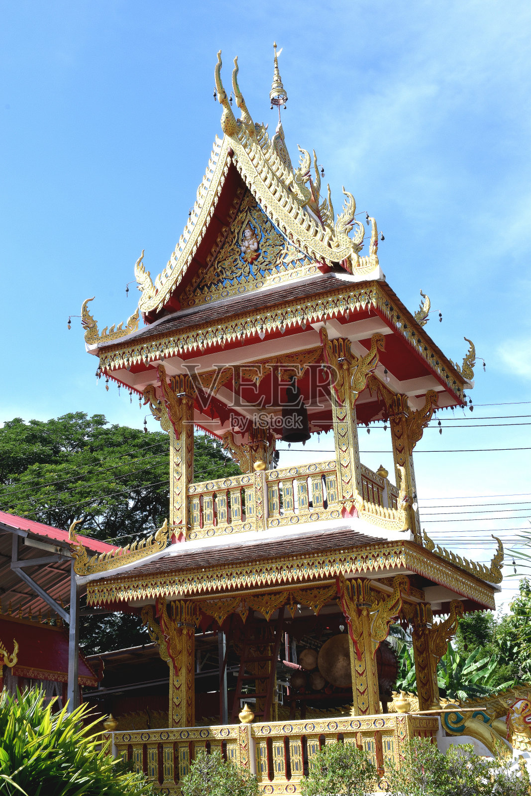 什么是潘琴照片摄影图片