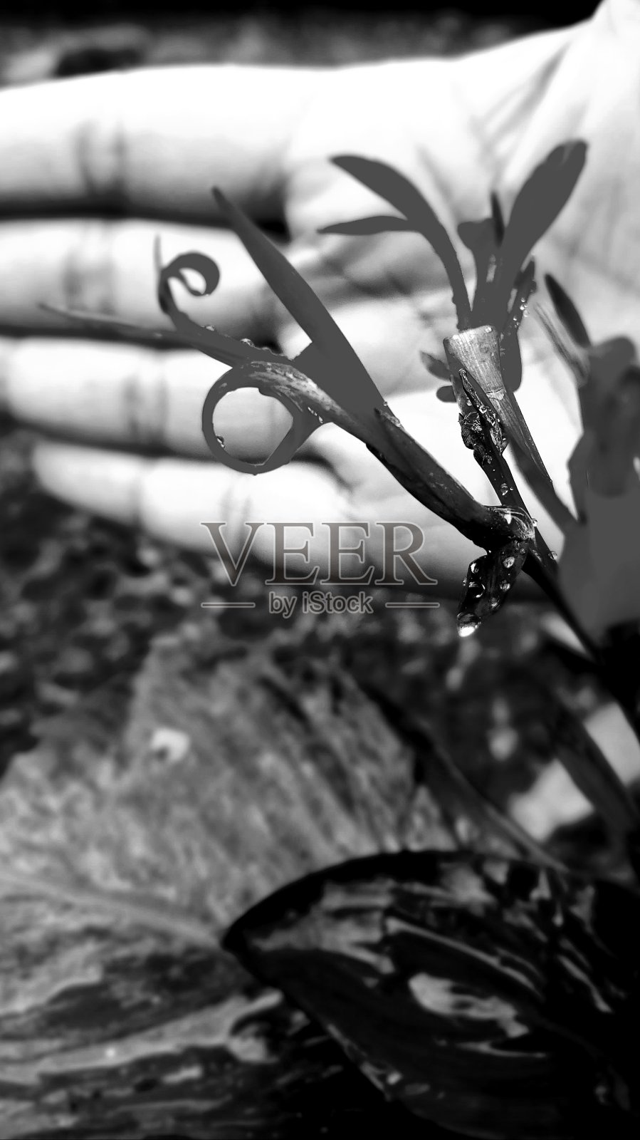 ∞照片摄影图片