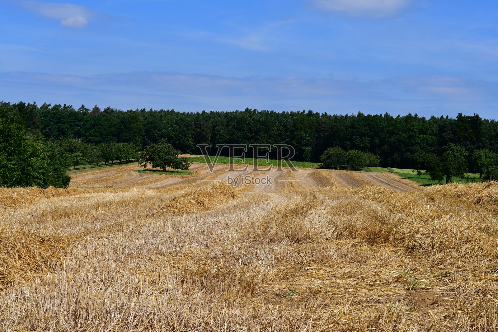弗朗科尼亚美丽的风景照片摄影图片