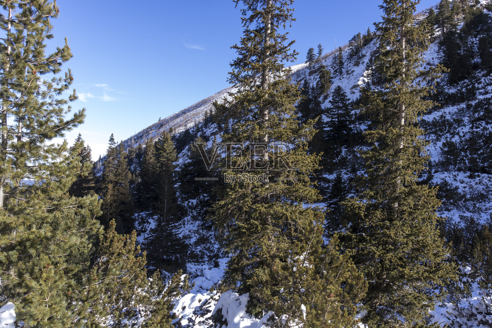 保加利亚Malyovitsa峰附近Rila山的冬季景观照片摄影图片