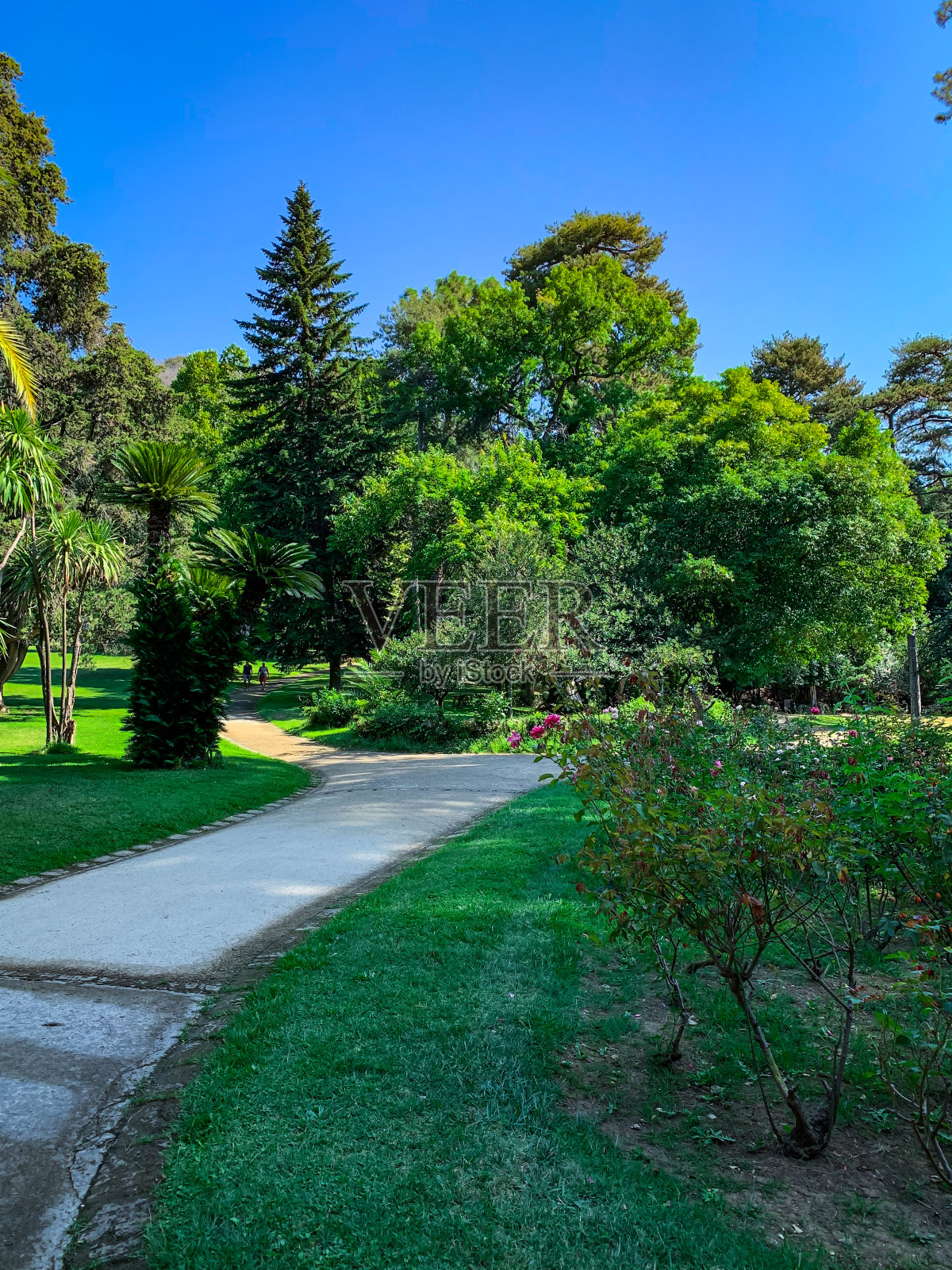 意大利卡塞塔的皇家公园照片摄影图片