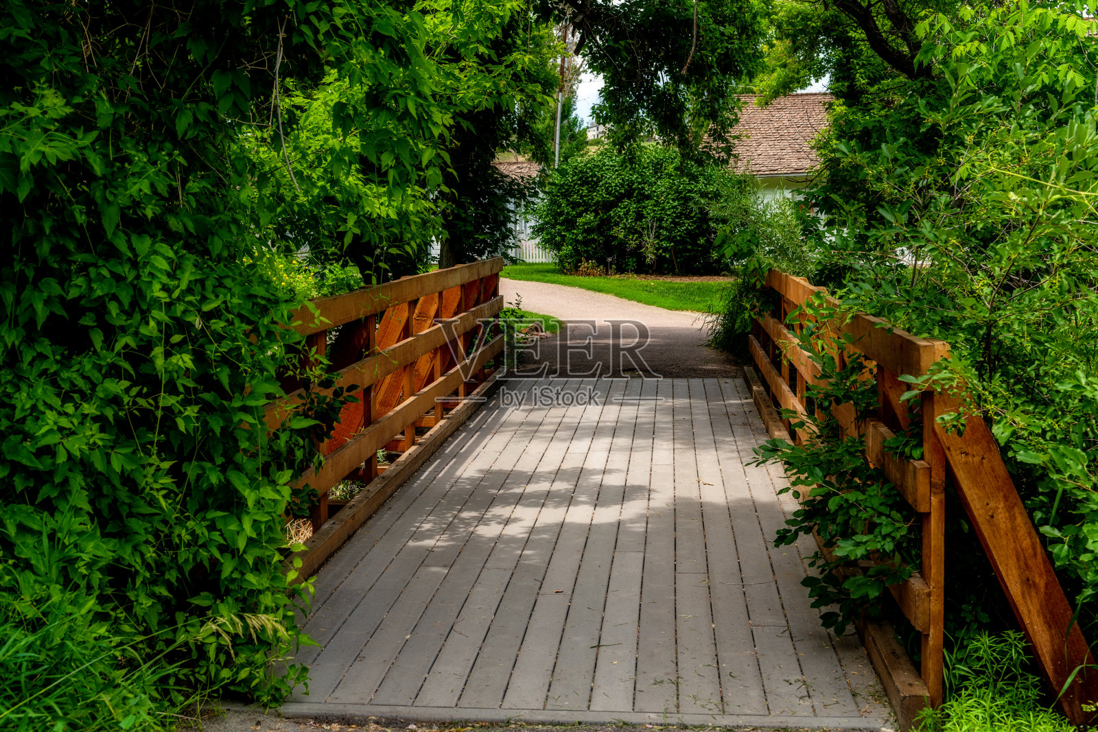 人行桥横跨森林中的一条小溪照片摄影图片