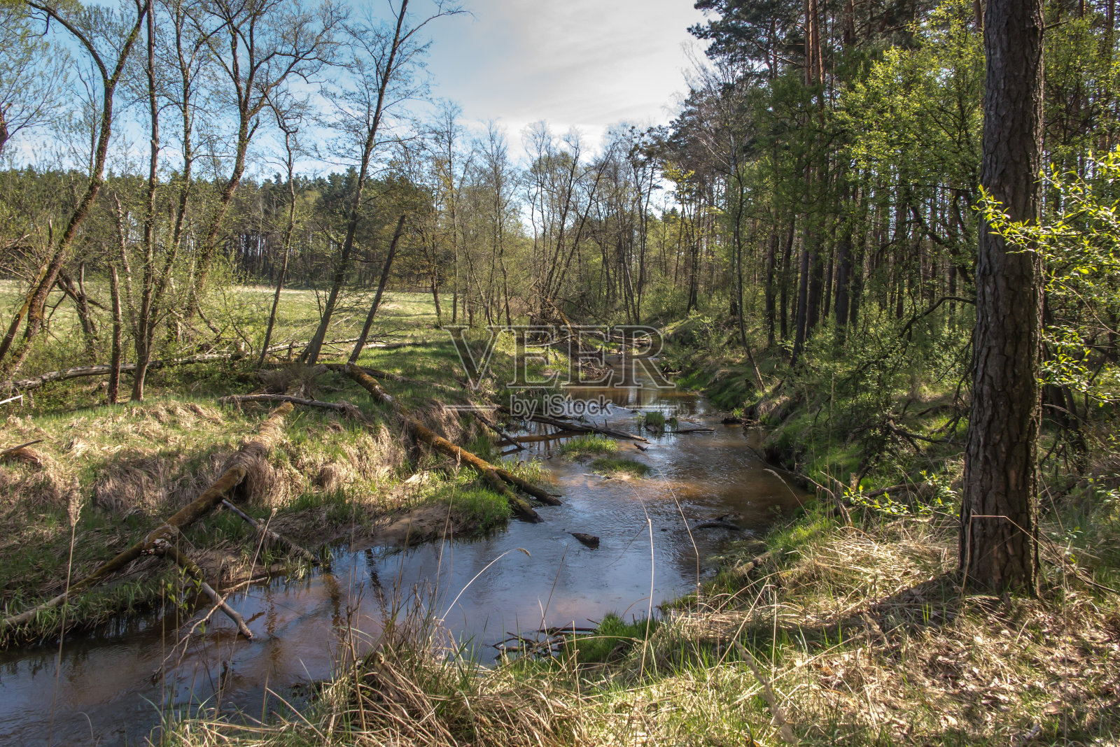 波兰Kalety地区的Mala Panew河床照片摄影图片