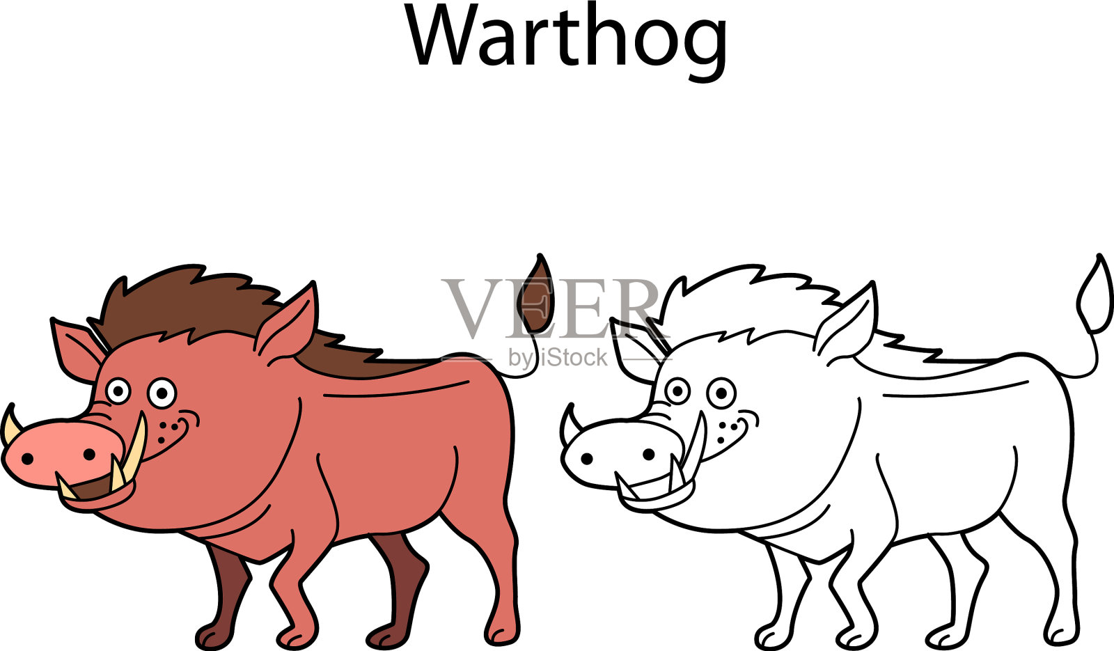 有趣可爱的动物疣猪孤立在白色插画图片素材