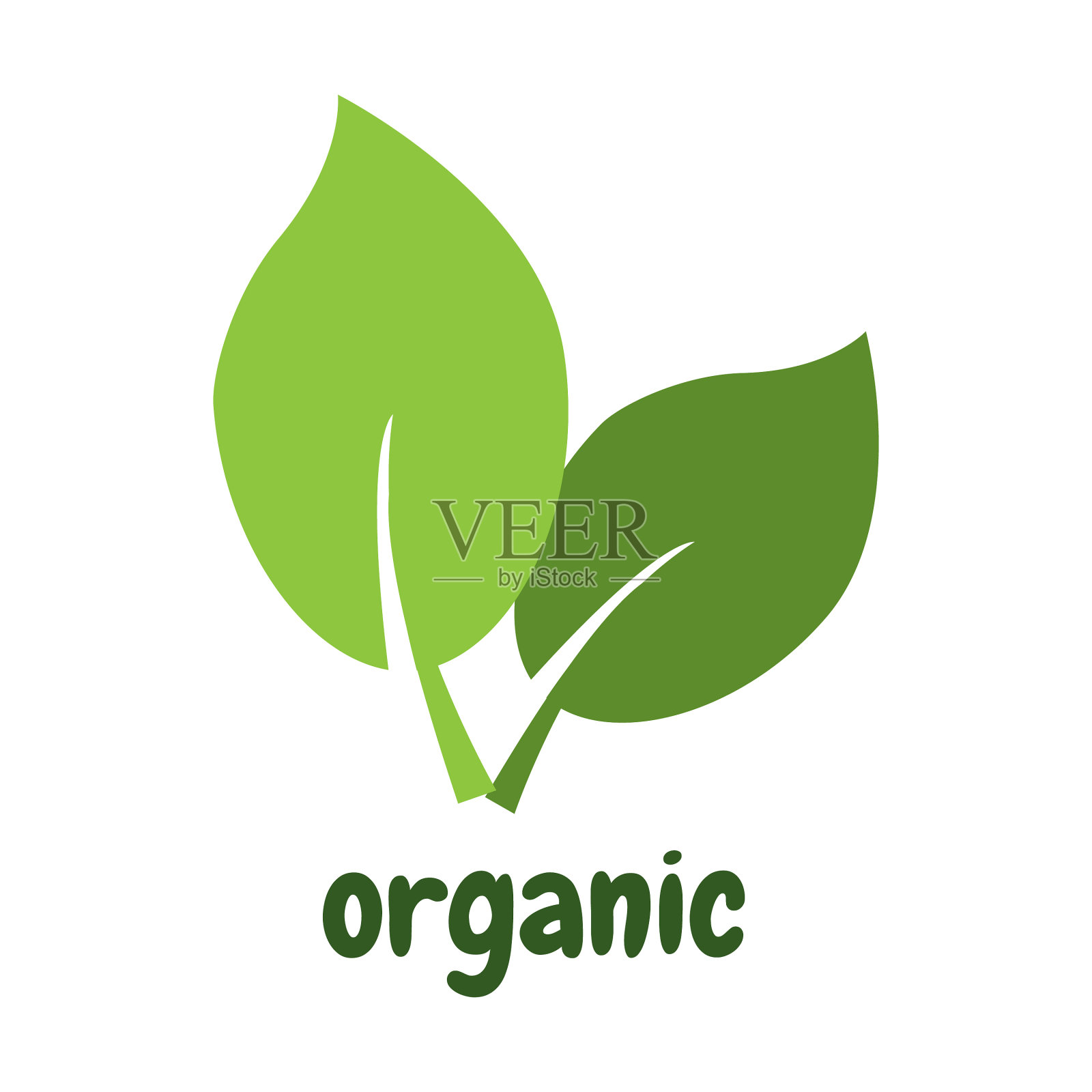 叶子标志有机标签生态图标孤立插画图片素材