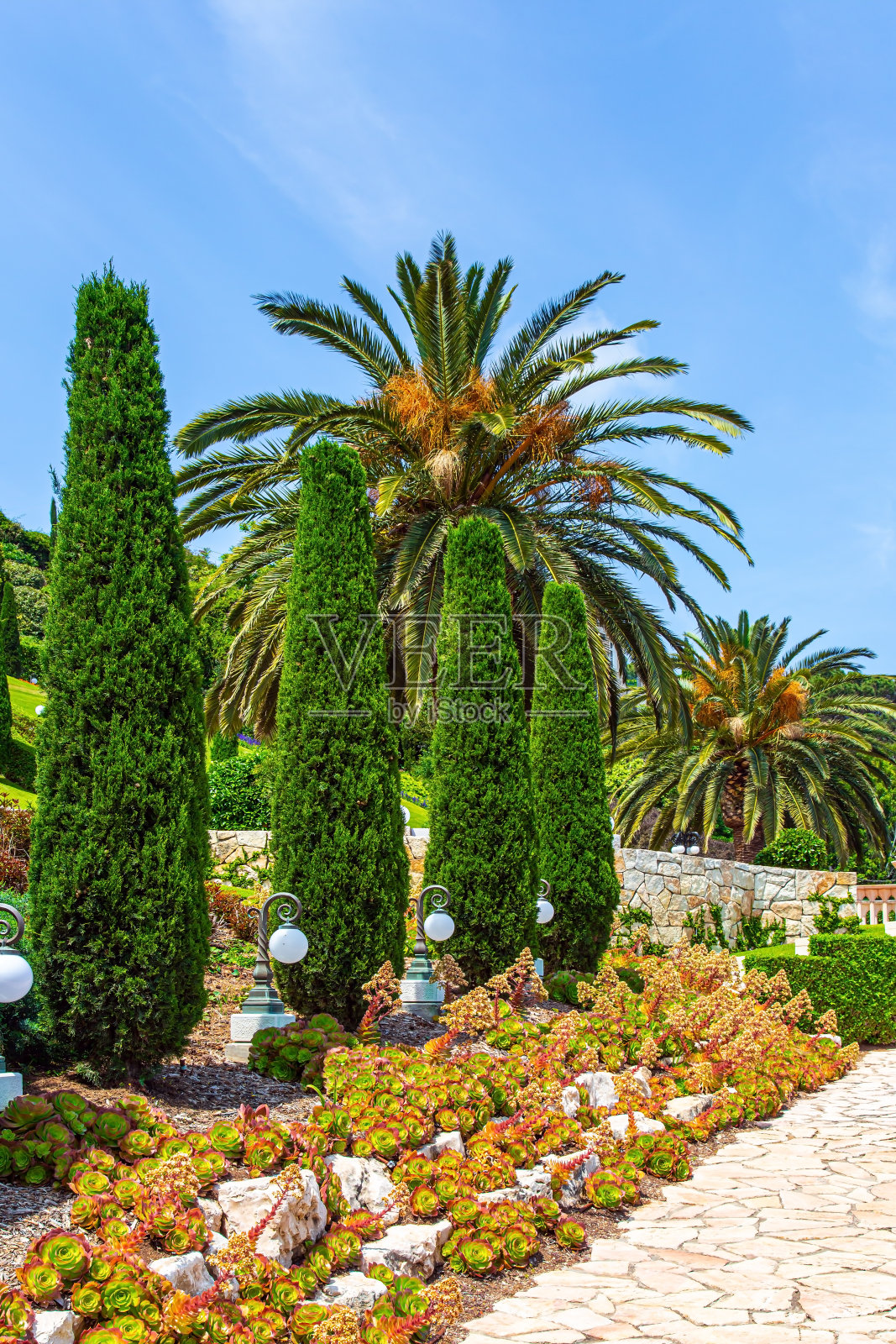 从卡梅尔山观看海法风光照片摄影图片
