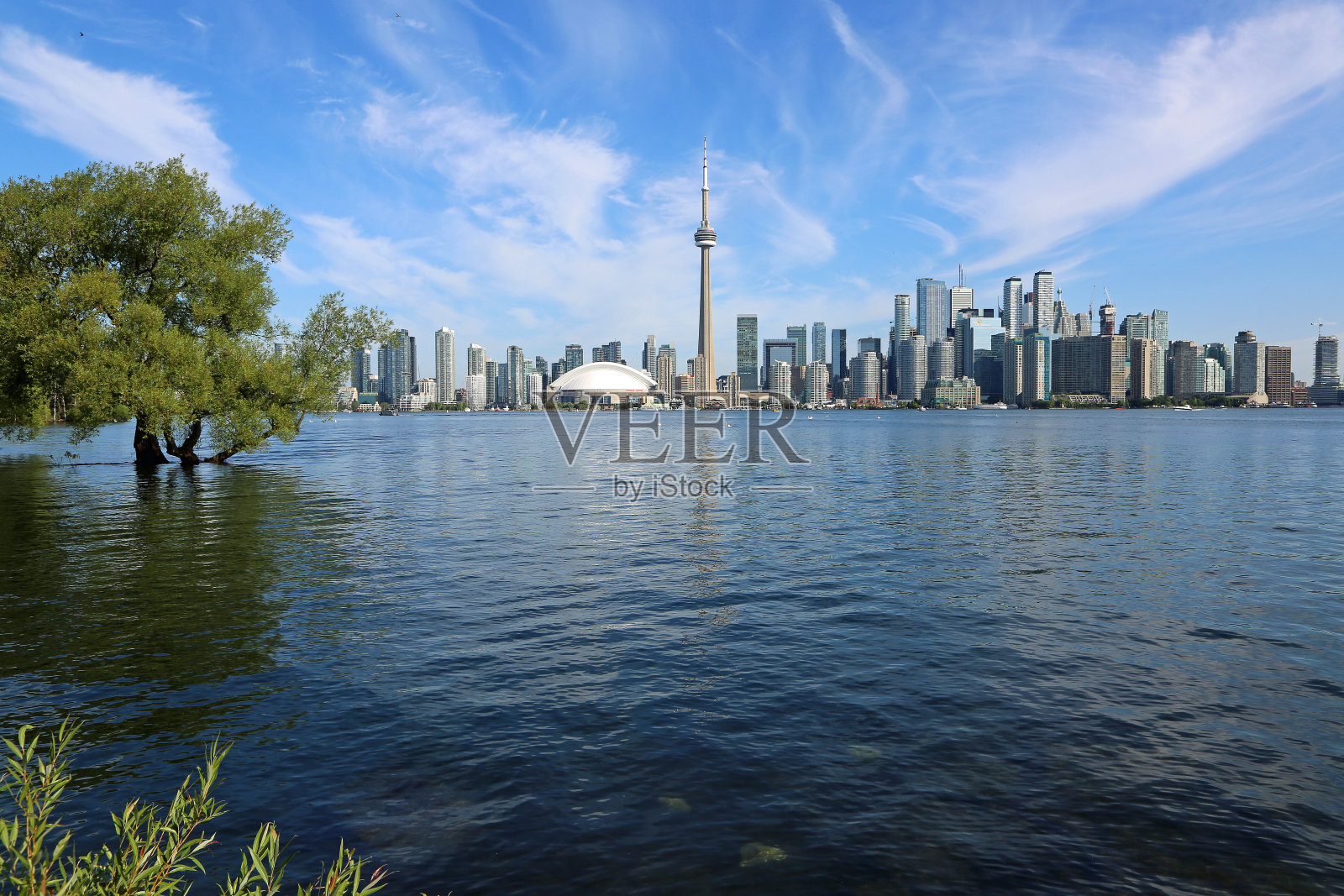 从多伦多岛看多伦多照片摄影图片
