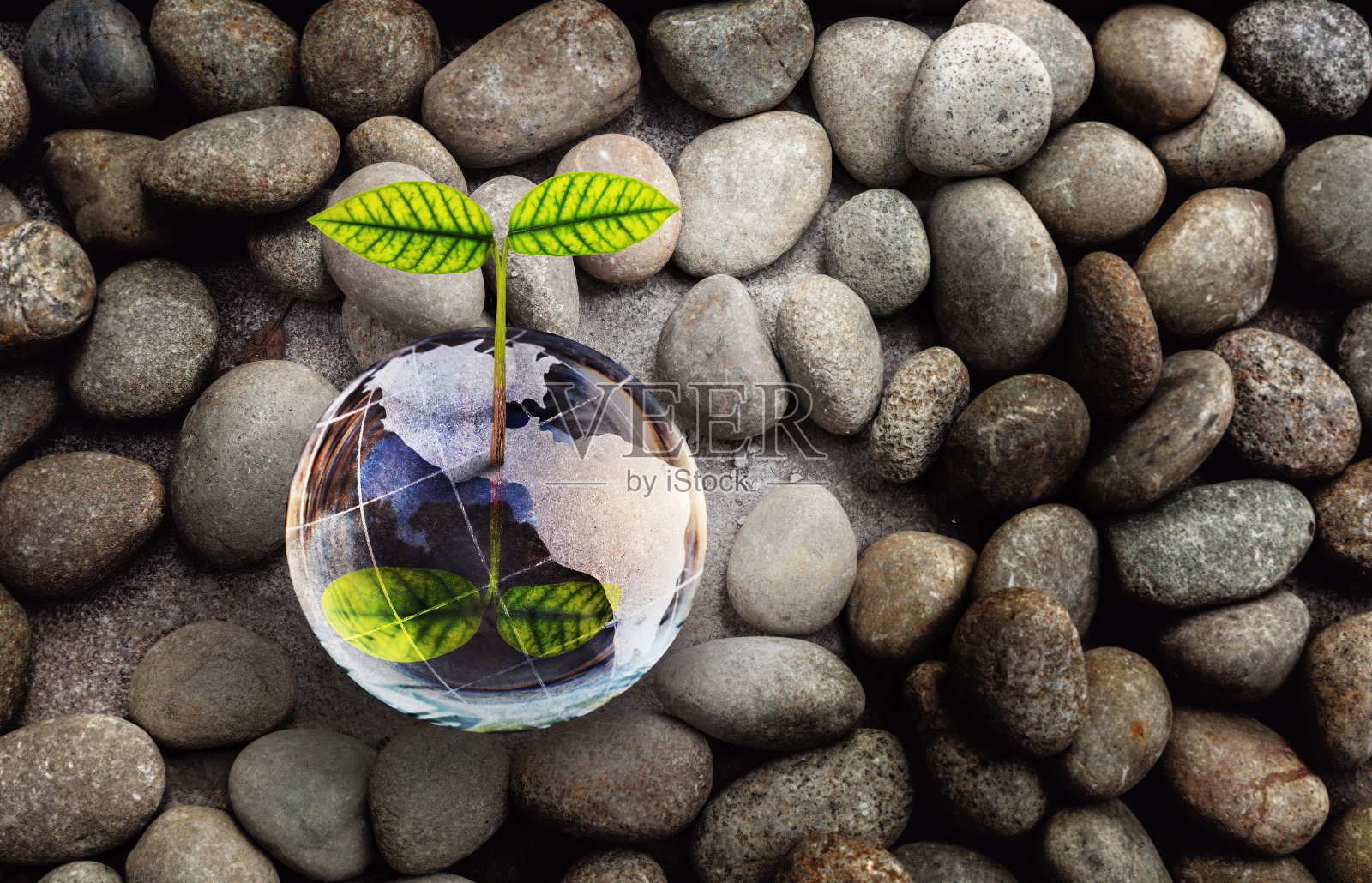 绿色的小植物从玻璃球世界上生长出来，小而圆的岩石背景照片摄影图片