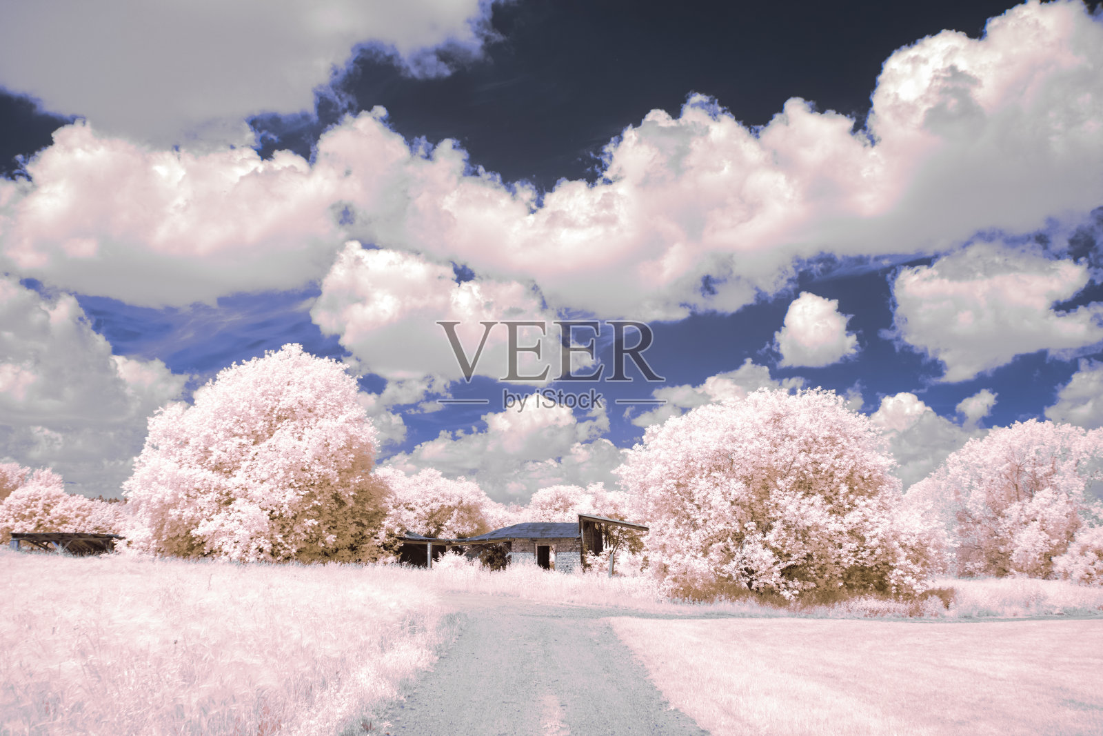 红外摄影-天空下的景观与云的红外照片照片摄影图片