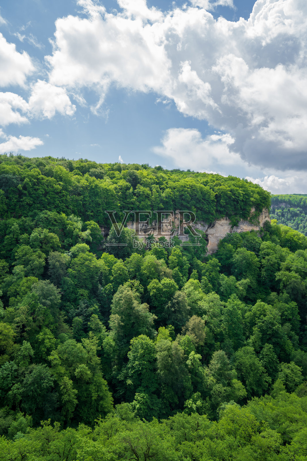山上长满了绿树。春天去爬山。照片摄影图片