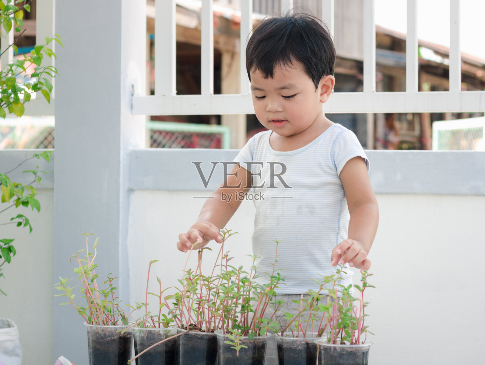 亚洲可爱可爱的小男孩在家里的花园里种花。孩子们喜欢园艺。照片摄影图片