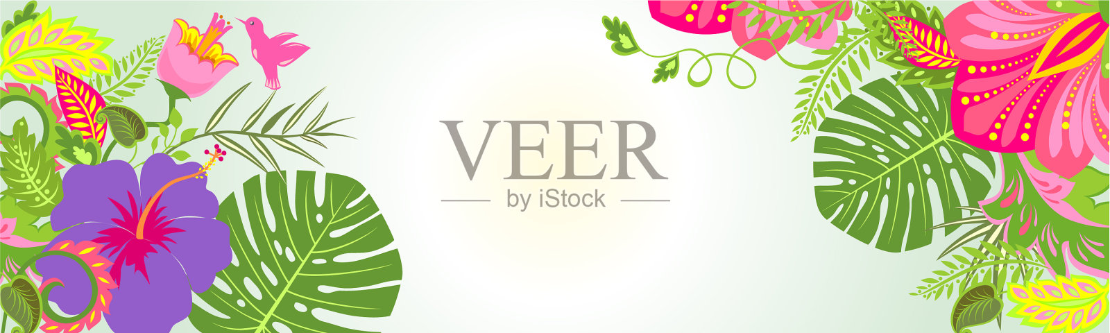 带有热带花卉的横旗插画图片素材