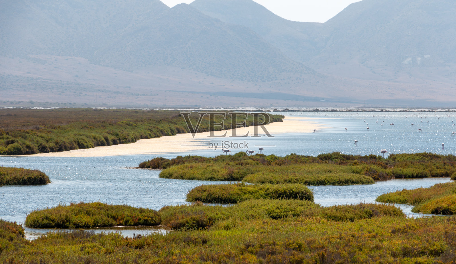 西班牙安达卢西亚，阿尔梅里亚，卡波德加塔的拉斯萨利纳斯，火烈鸟迁徙期间照片摄影图片