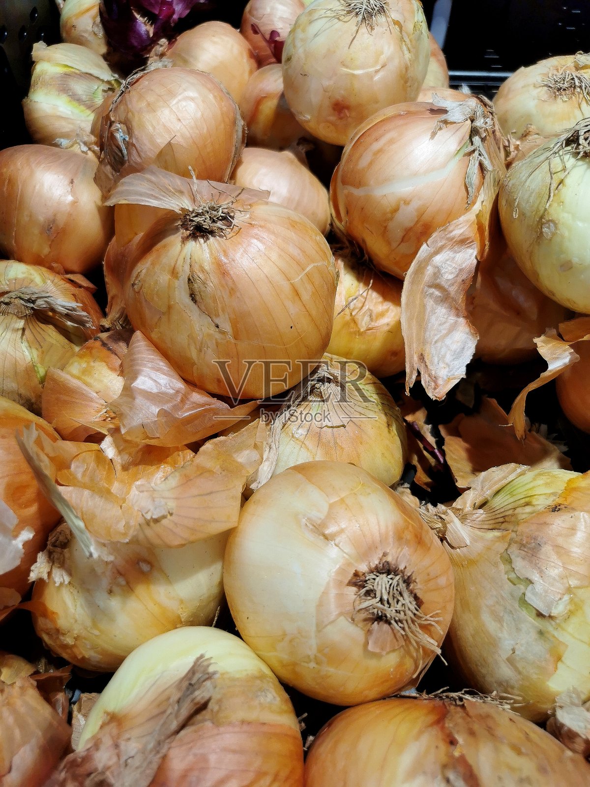 洋葱特写照片摄影图片