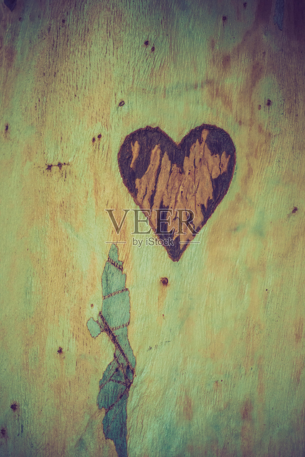 一块木头上的小心形照片摄影图片