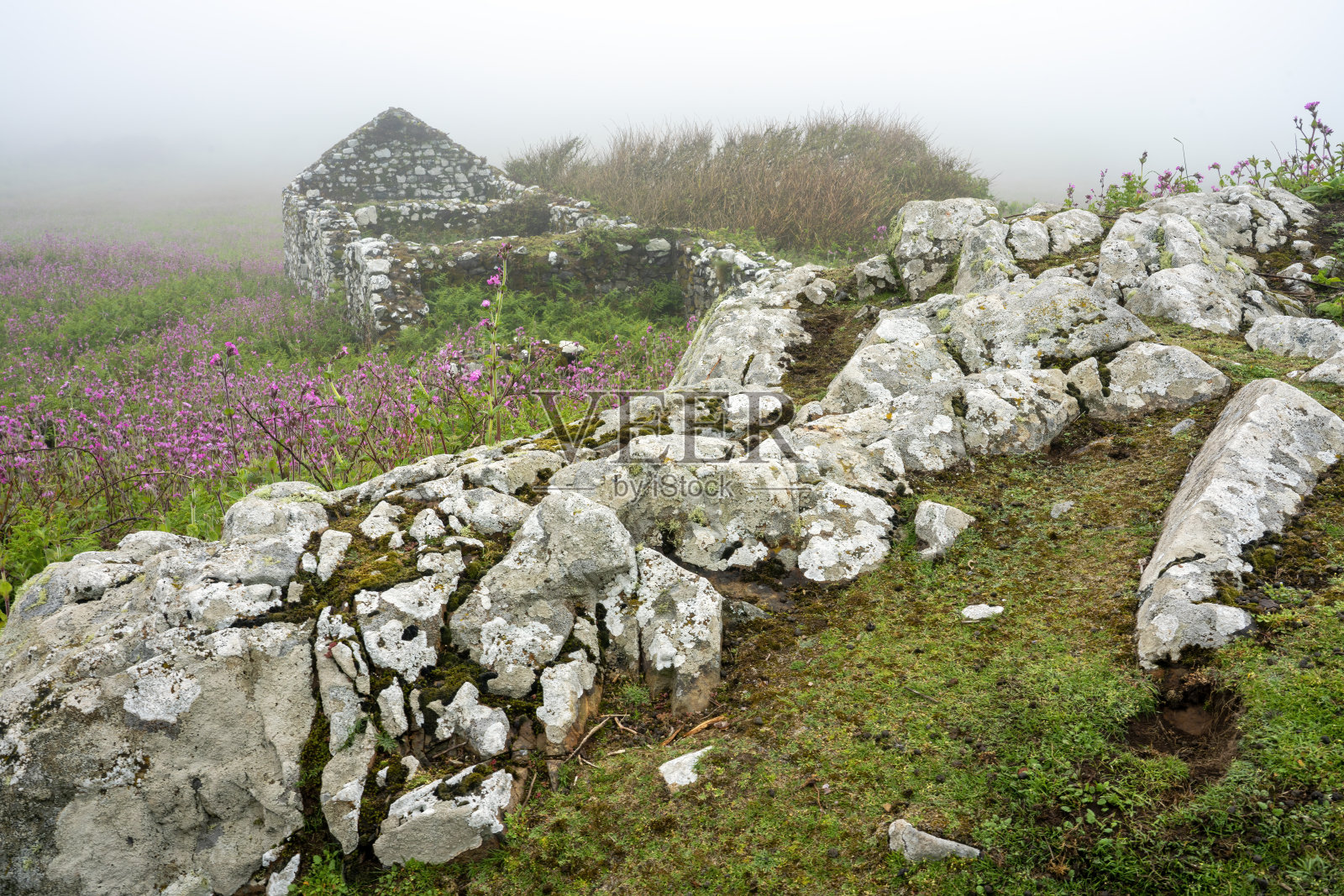 南威尔士彭布罗克郡斯科默岛的老农场建筑景观照片摄影图片