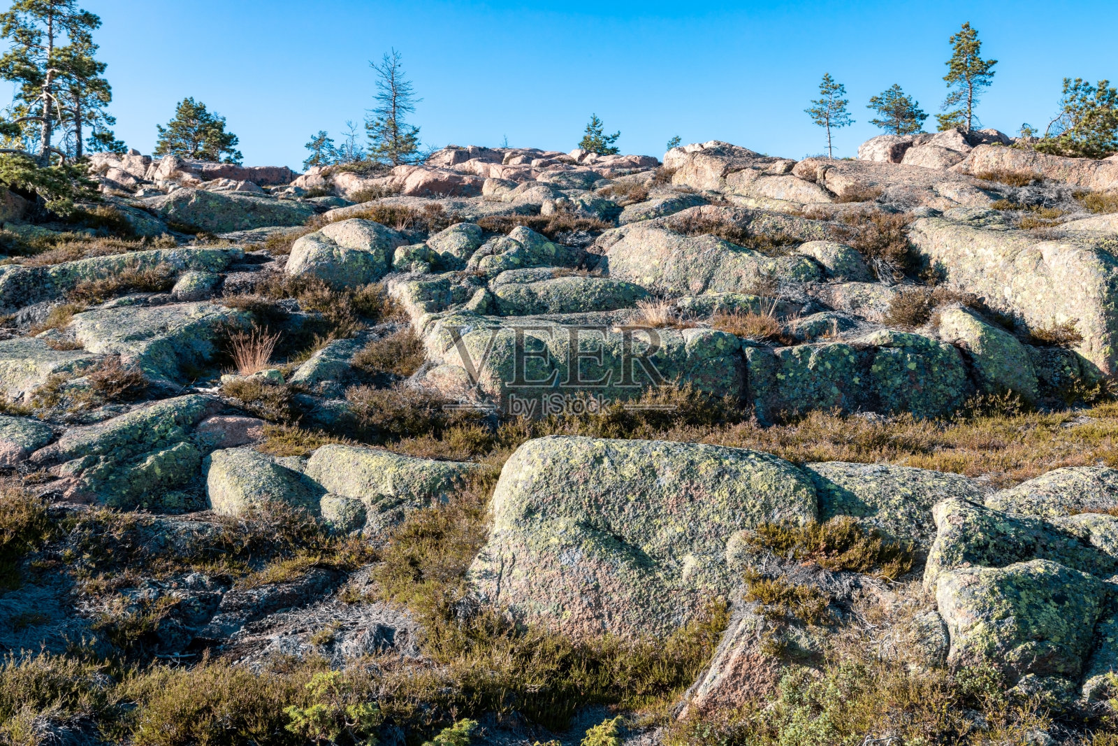 高海岸徒步小径照片摄影图片