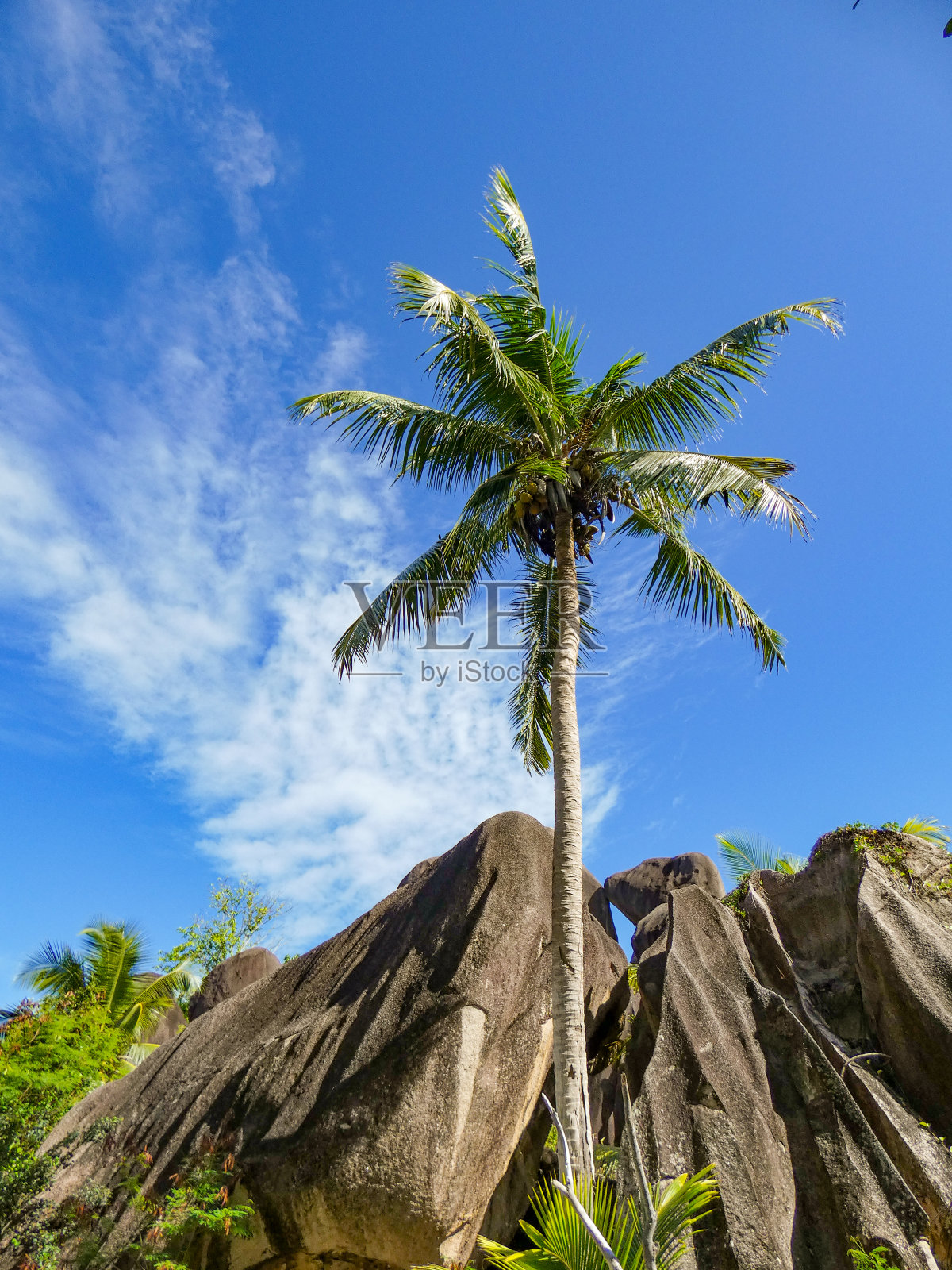 戴克岛照片摄影图片