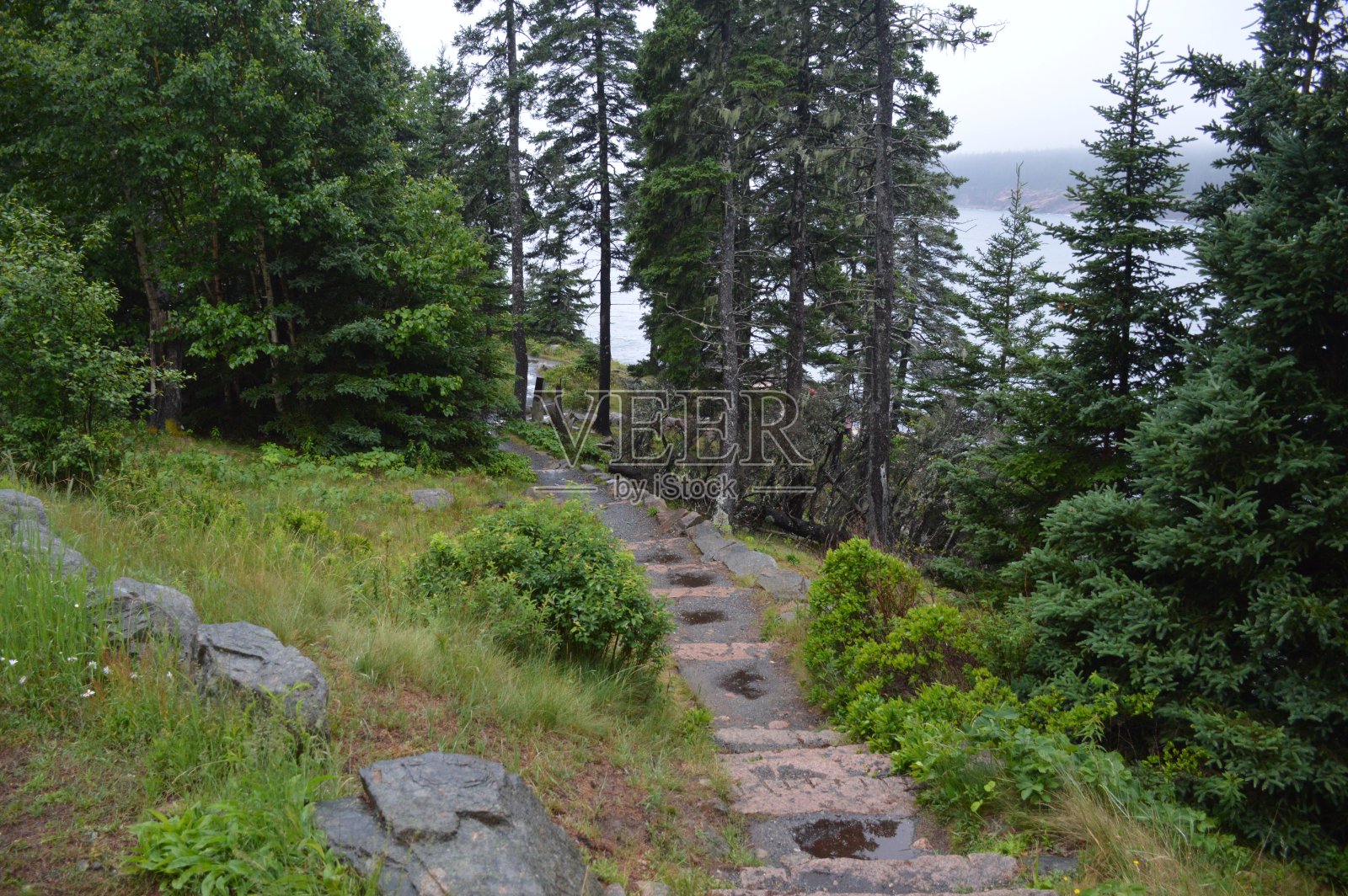 阿卡迪亚国家公园-水獭湾小径照片摄影图片