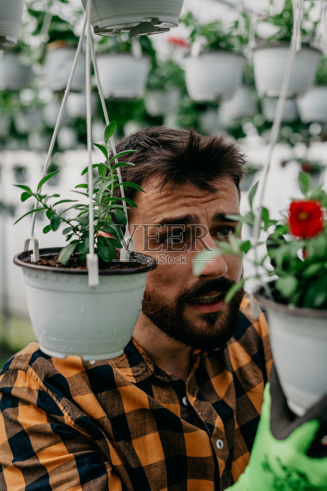 我知道我的花园出了什么问题照片摄影图片
