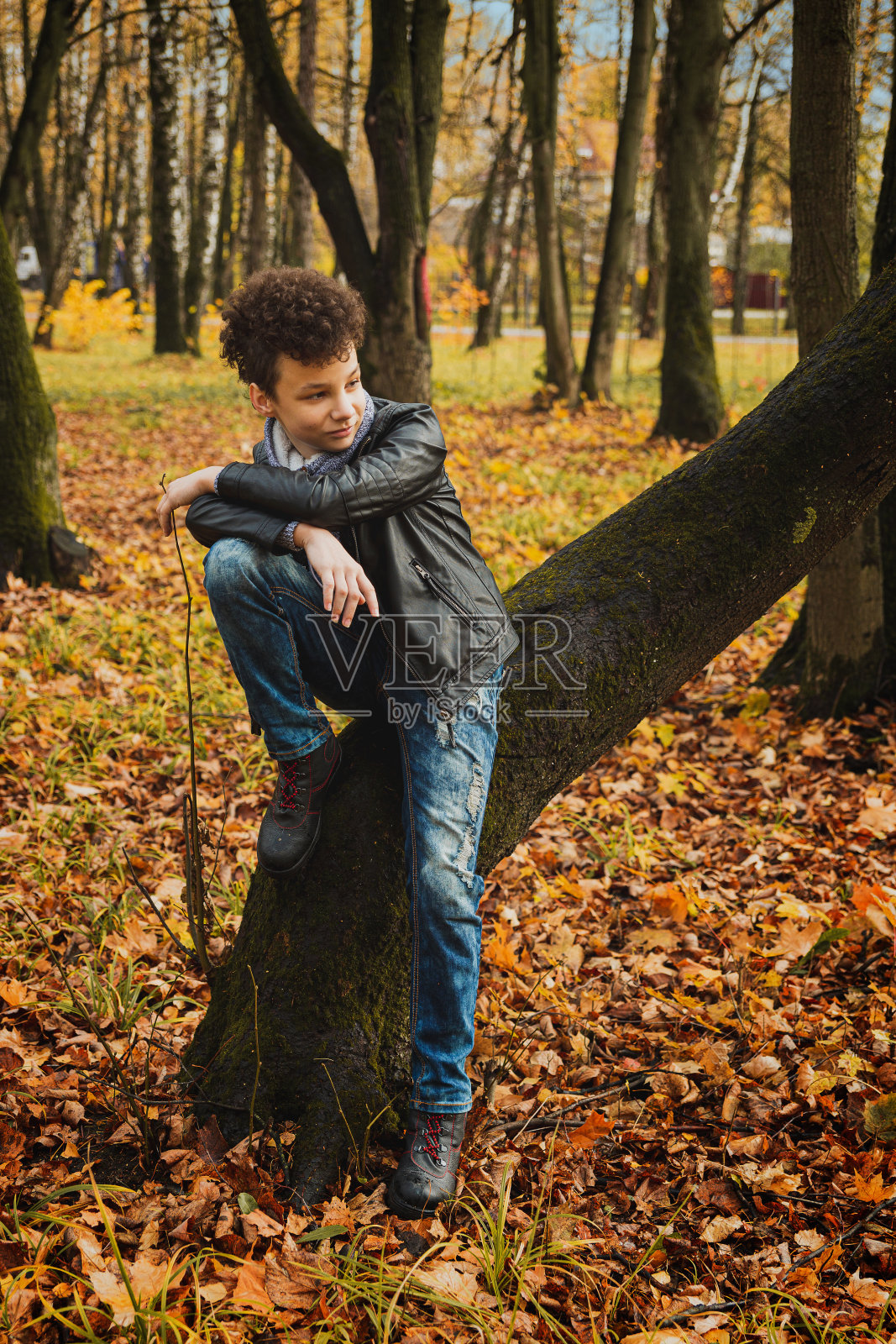 卷发的棕色头发，莫霍克发型，皮夹克，秋天的背景照片摄影图片