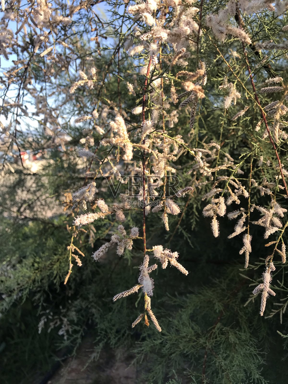 城市的细节照片摄影图片