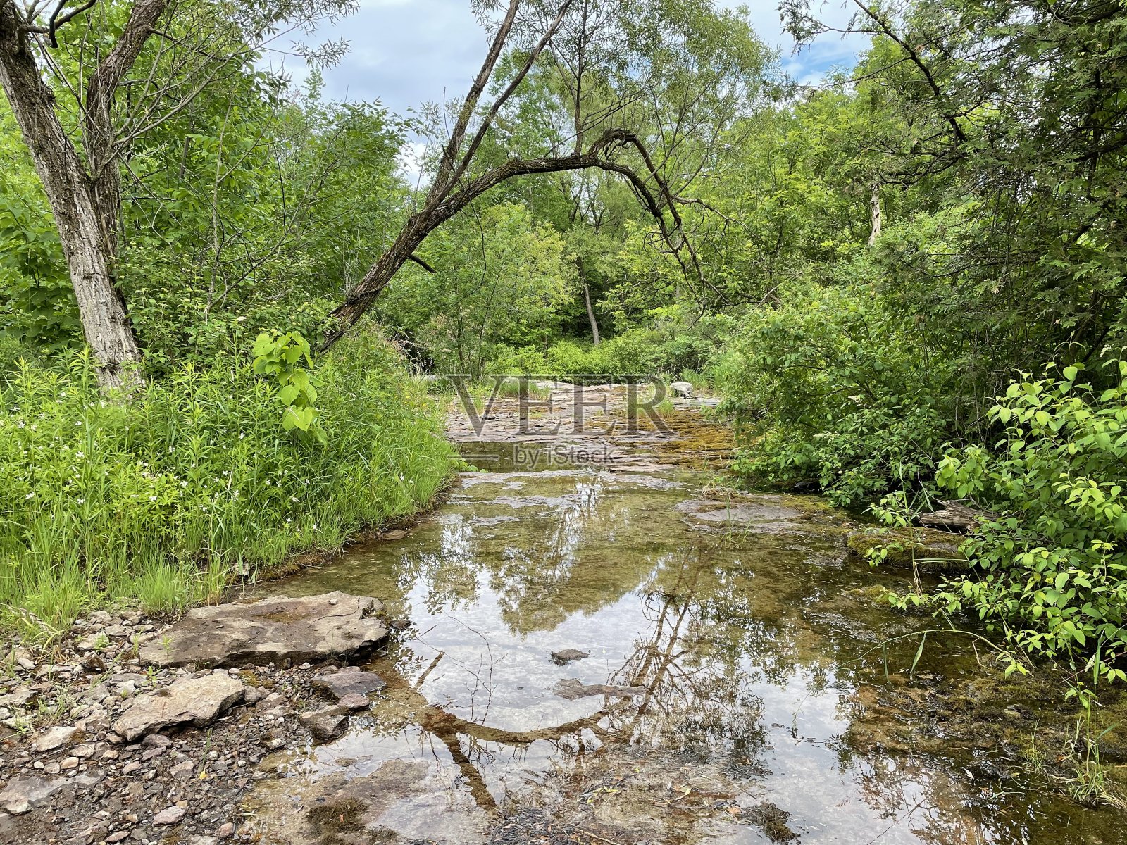 溪照片摄影图片