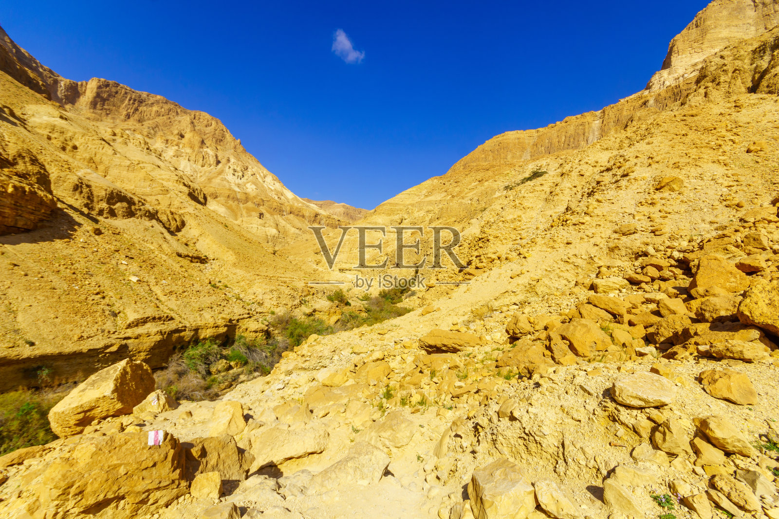 隐基底自然保护区阿鲁戈特溪流沿岸风光照片摄影图片