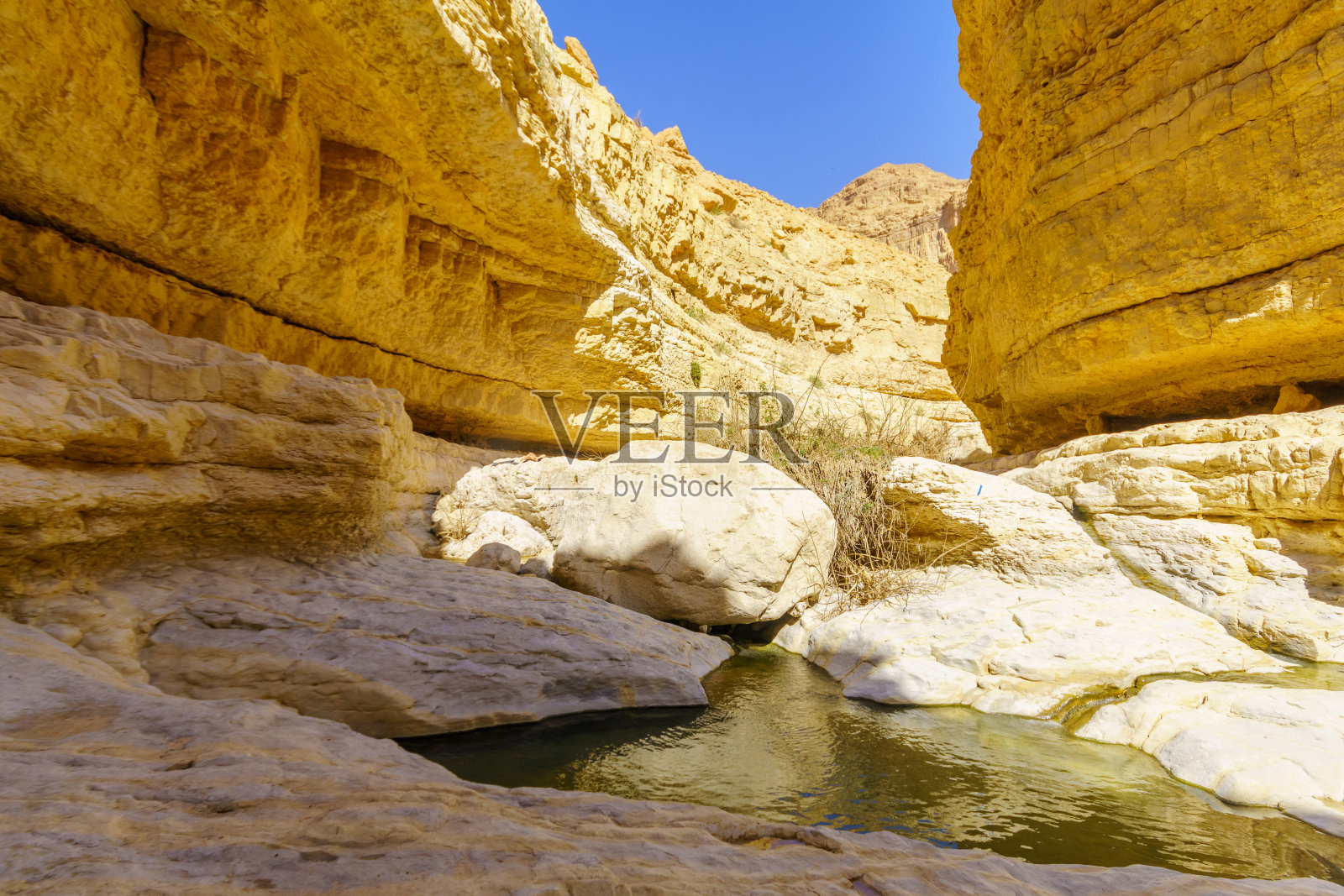 隐基底自然保护区，阿鲁格特溪上层水池照片摄影图片