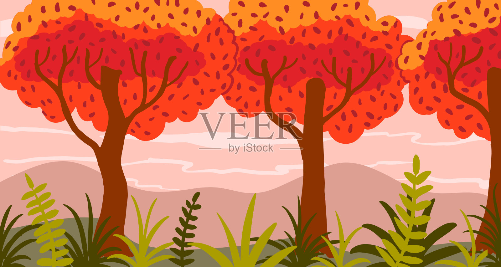 秋天的风景。橘子树和草地上的草插画图片素材