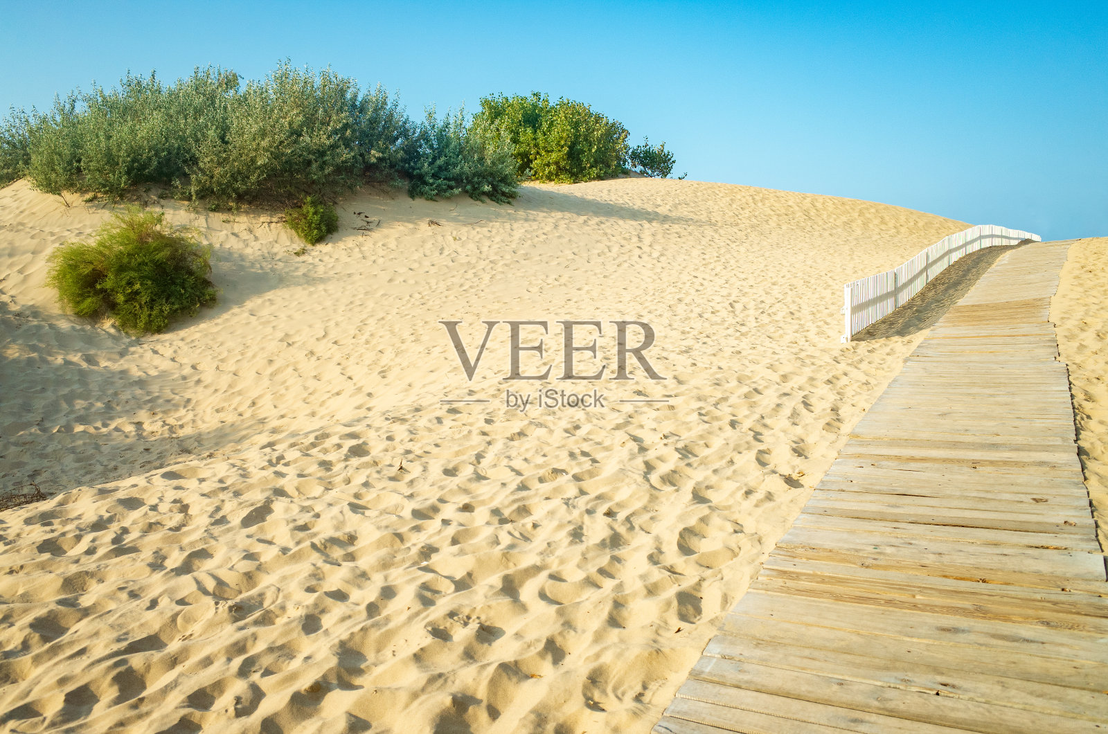 通往海滩的木板路照片摄影图片