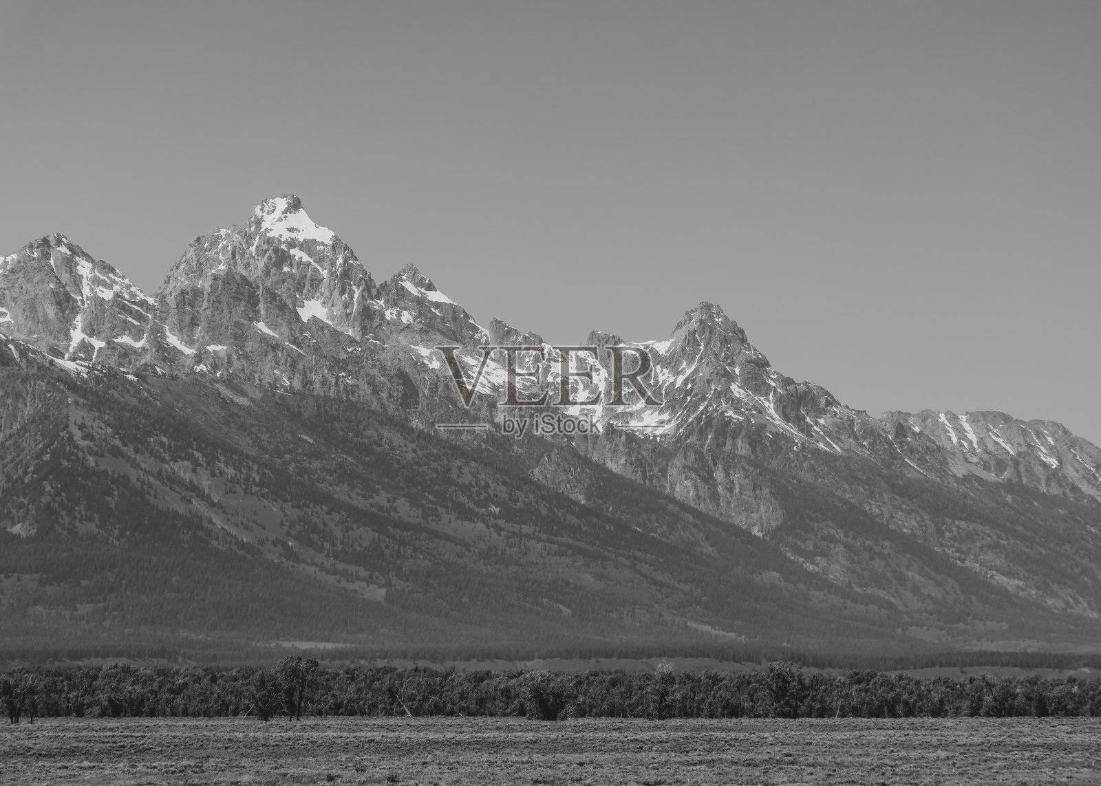 大提顿国家公园的夏天照片摄影图片
