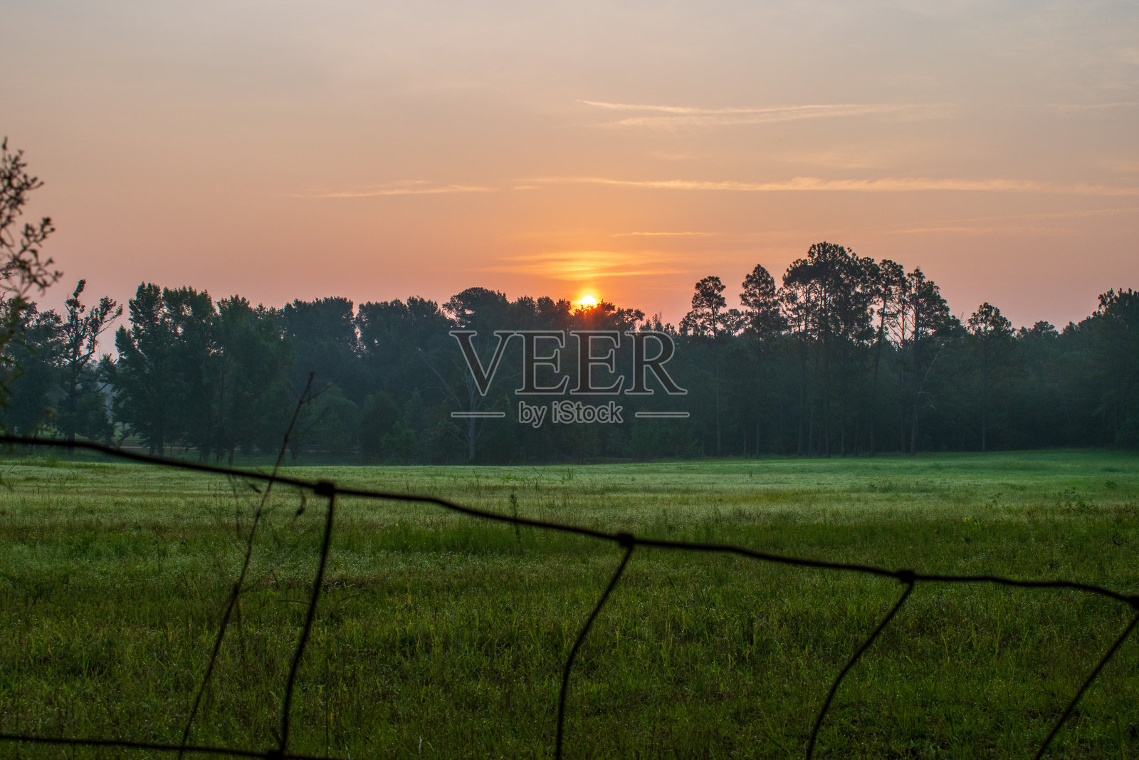 场日出时照片摄影图片