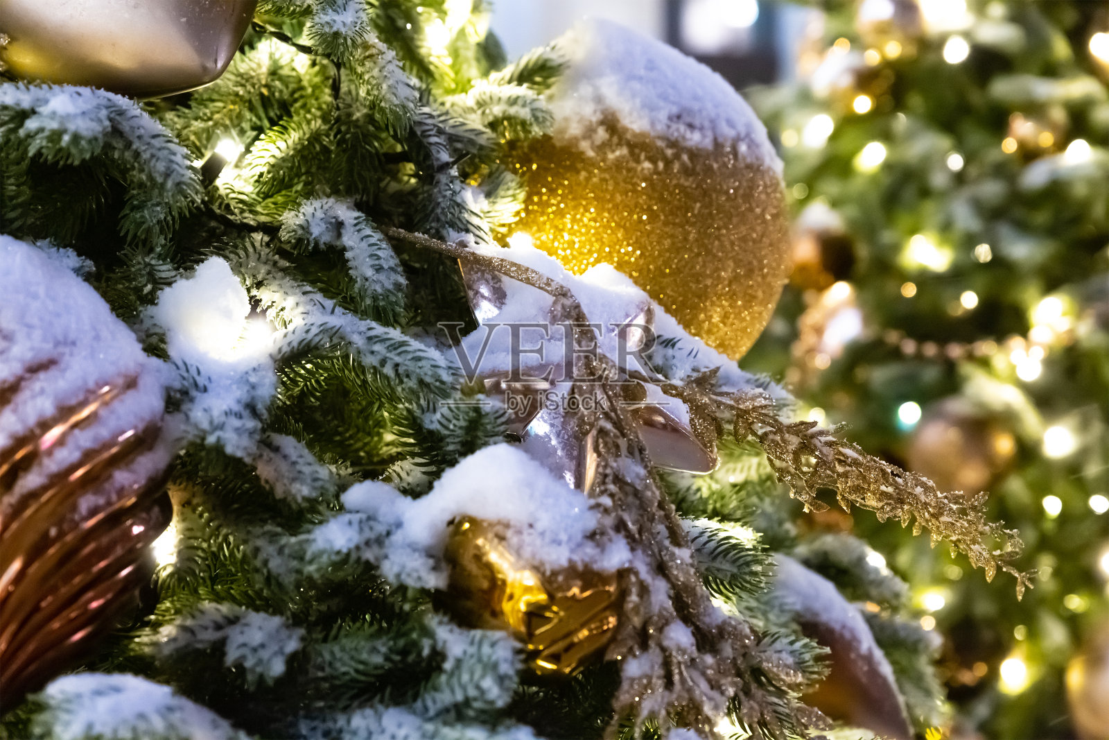 冬季装饰图案圣诞雪球装饰云杉照片摄影图片