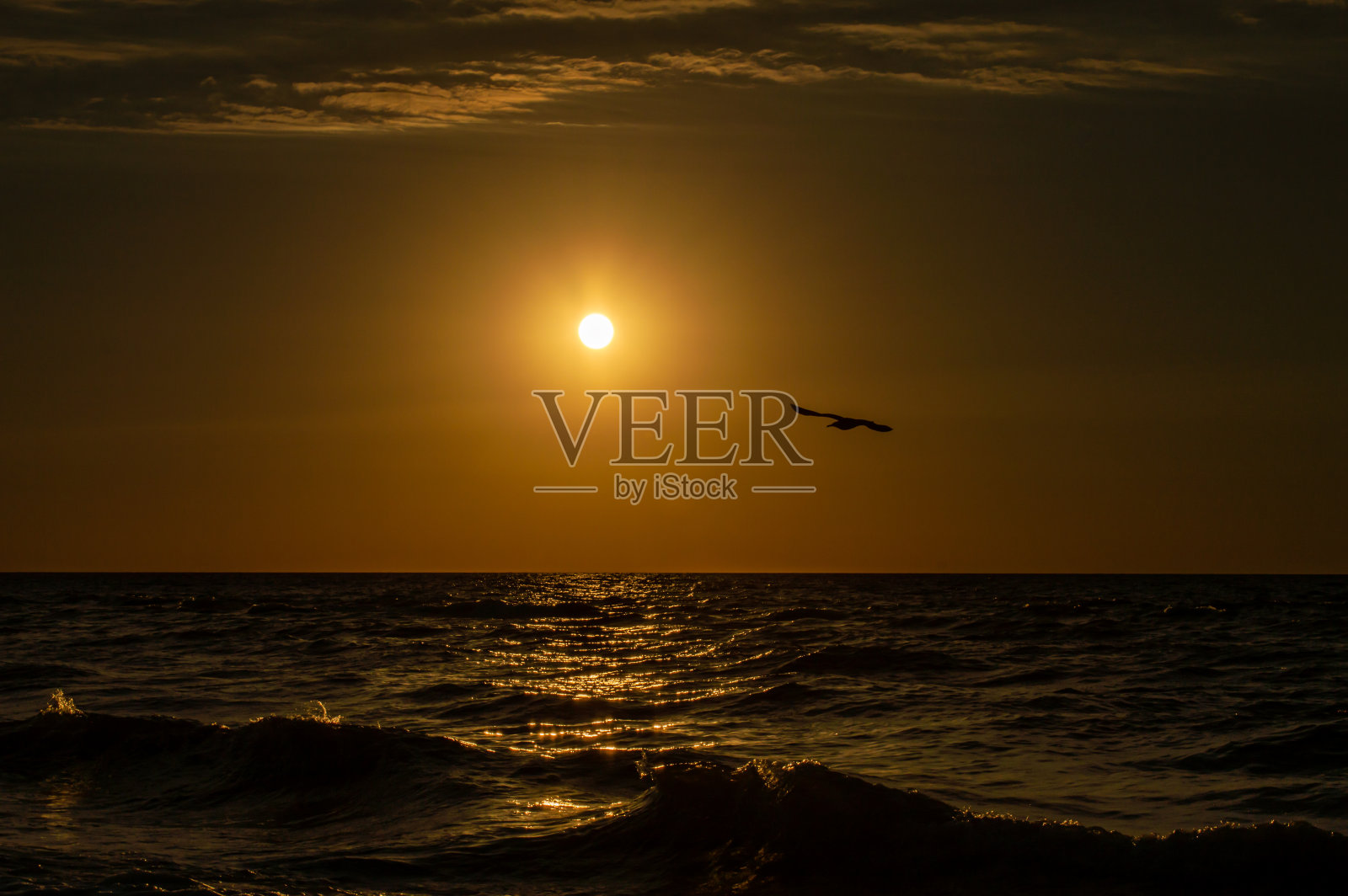 金色的日出在海滩上照片摄影图片