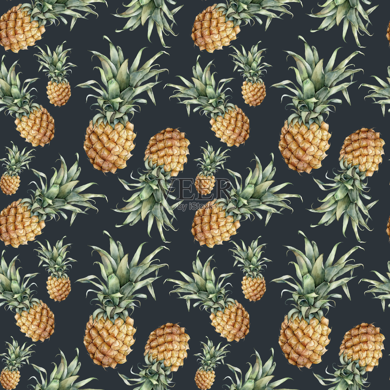 水彩无缝模式与成熟的菠萝。手绘热带水果与叶子孤立在黑色背景。植物食物插图的设计，印刷，织物，室内或背景。插画图片素材