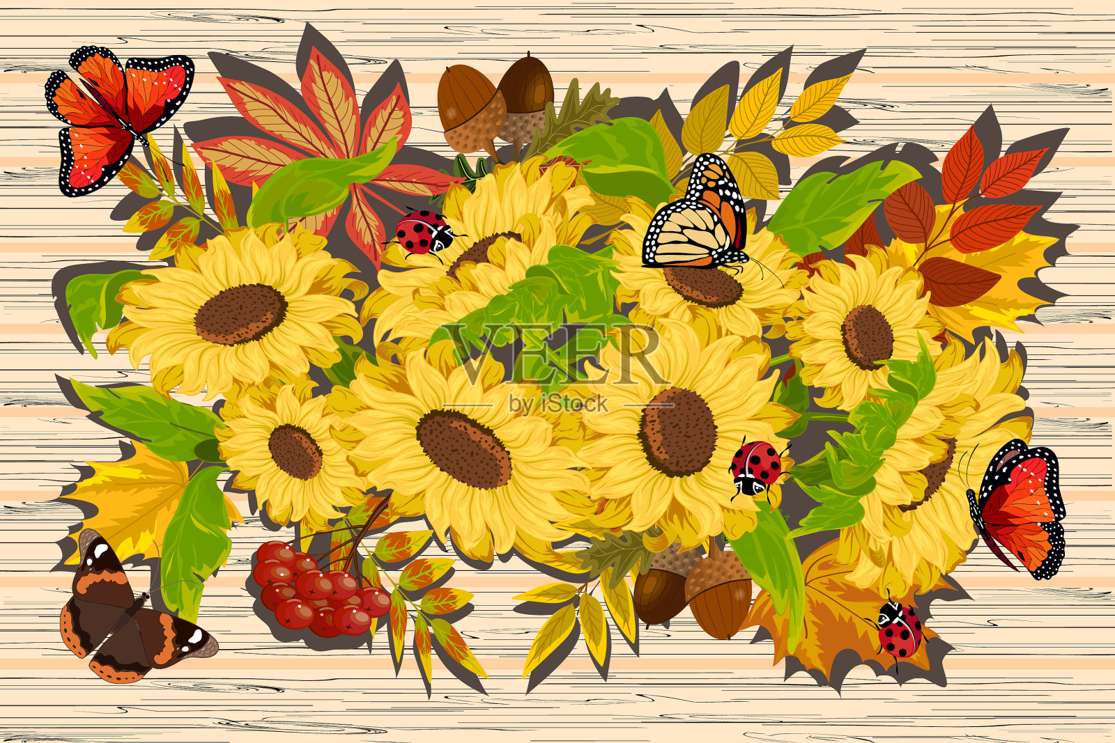 向日葵和秋叶在插画图片素材