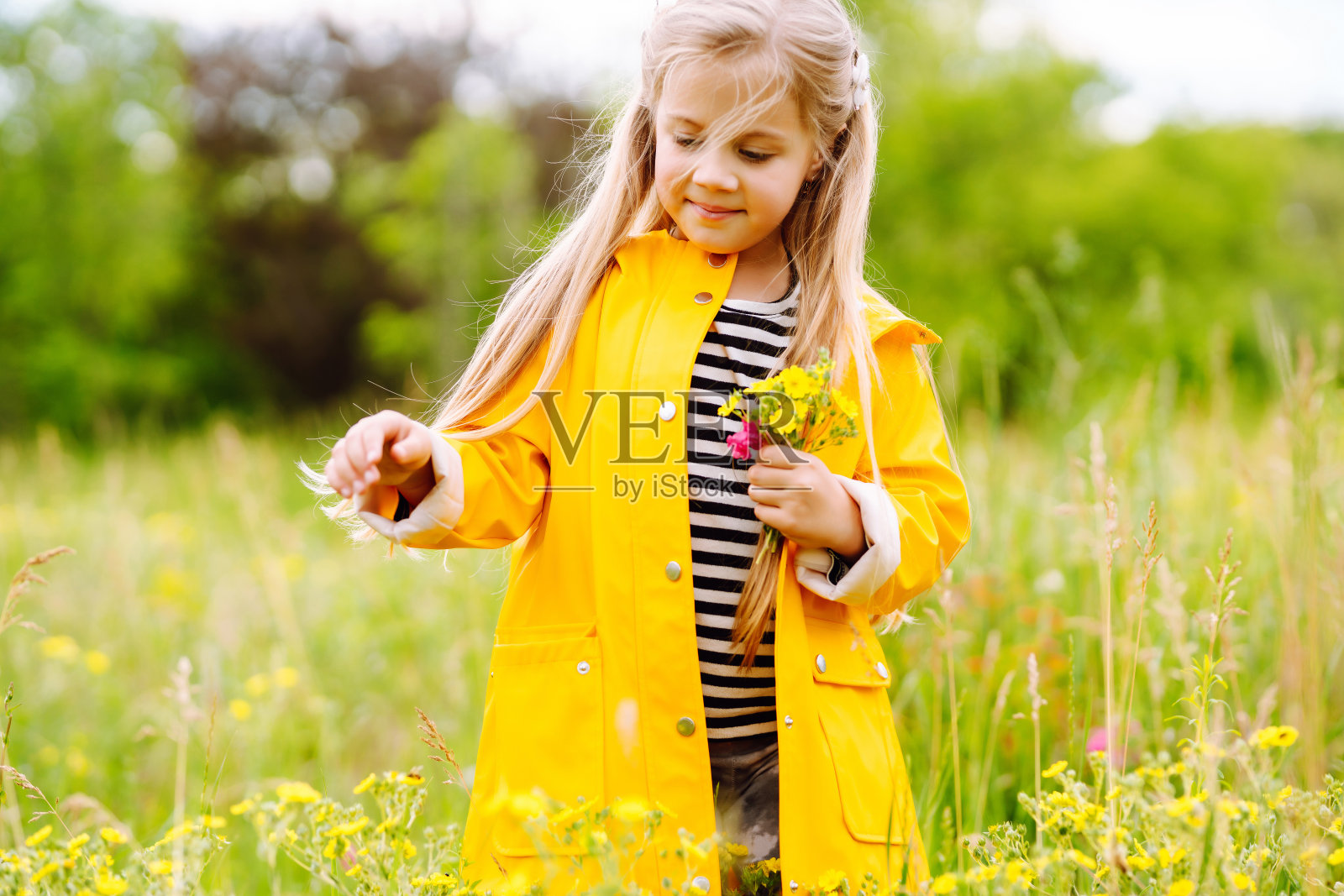 可爱的小女孩在草地上摘野花。孩子探索自然。照片摄影图片